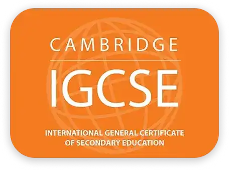 expert igcse maths tutor online class